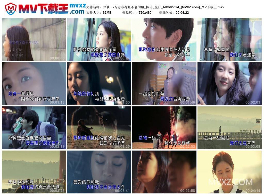 郑耿一-若青春有张不老的脸_国语_流行_MB505324